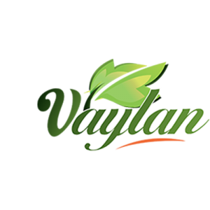 logo vaylan